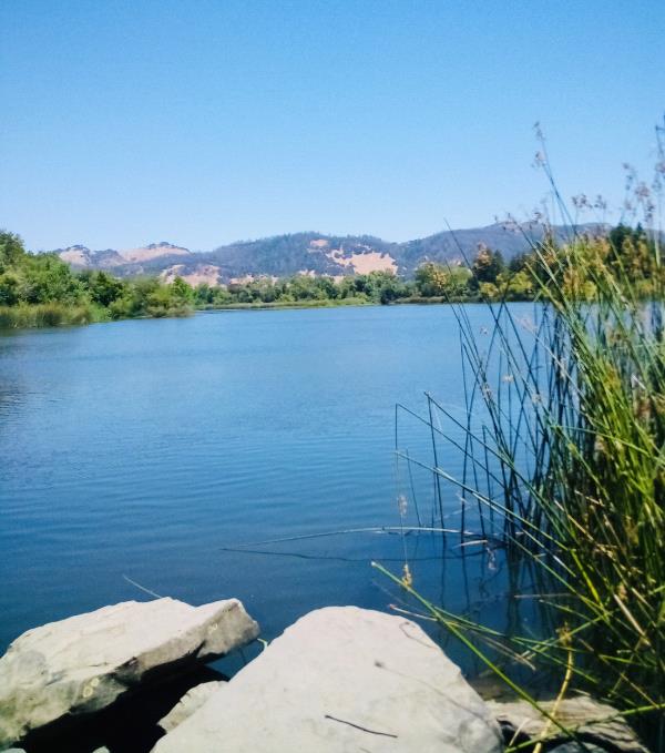 /Images/uploads/Sonoma County Regional Parks Foundation/springlake50/entries/29181thumb.jpg